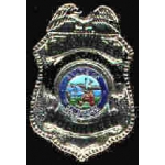 RIVERSIDE CO, CA VOL FIRE ENGINEER MINI BADGE PIN